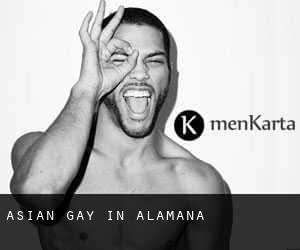 Asian Gay in Alamana