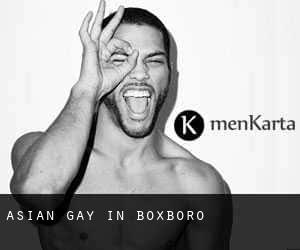 Asian Gay in Boxboro