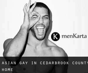 Asian Gay in Cedarbrook County Home