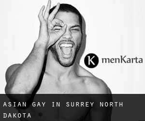 Asian Gay in Surrey (North Dakota)