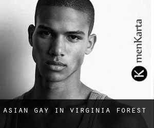 Asian Gay in Virginia Forest