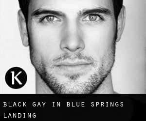 Black Gay in Blue Springs Landing