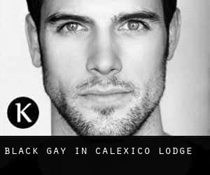 Black Gay in Calexico Lodge