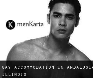 Gay Accommodation in Andalusia (Illinois)