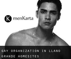Gay Organization in Llano Grande Homesites