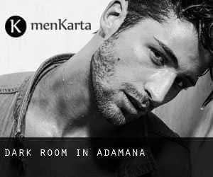 Dark Room in Adamana