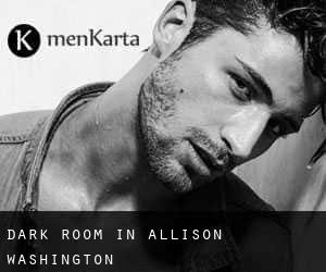 Dark Room in Allison (Washington)