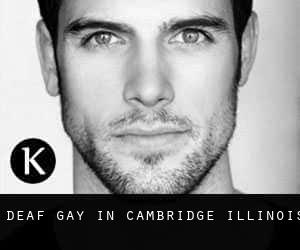 Deaf Gay in Cambridge (Illinois)