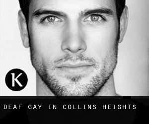 Deaf Gay in Collins Heights