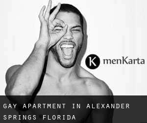 Gay Apartment in Alexander Springs (Florida)