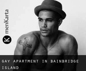 Gay Apartment in Bainbridge Island