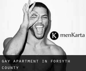 Gay Apartment in Forsyth County