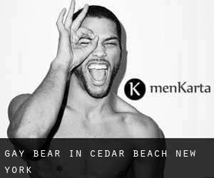 Gay Bear in Cedar Beach (New York)