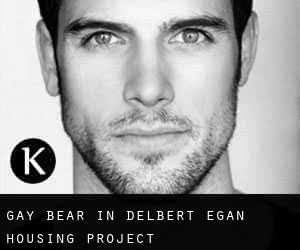 Gay Bear in Delbert Egan Housing Project