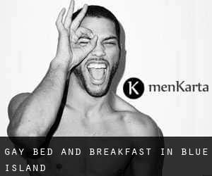Gay Bed and Breakfast in Blue Island