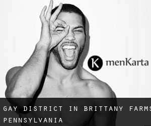 Gay District in Brittany Farms (Pennsylvania)