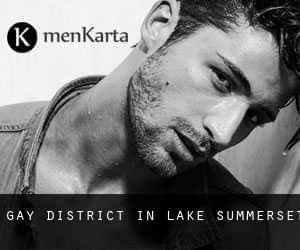 Gay District in Lake Summerset