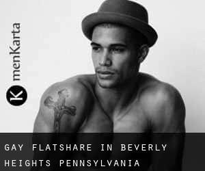 Gay Flatshare in Beverly Heights (Pennsylvania)