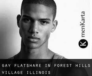 Gay Flatshare in Forest Hills Village (Illinois)