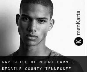 gay guide of Mount Carmel (Decatur County, Tennessee)