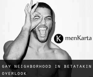 Gay Neighborhood in Betatakin Overlook
