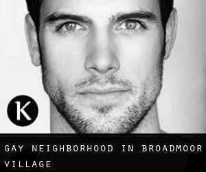 Gay Neighborhood in Broadmoor Village