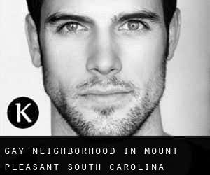 Gay Neighborhood in Mount Pleasant (South Carolina)