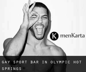 Gay Sport Bar in Olympic Hot Springs