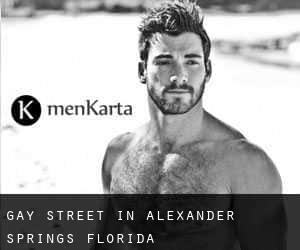 Gay Street in Alexander Springs (Florida)