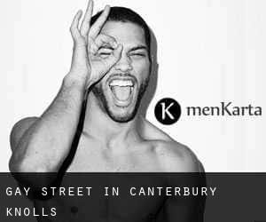 Gay Street in Canterbury Knolls
