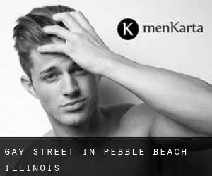 Gay Street in Pebble Beach (Illinois)