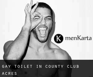 Gay Toilet in County Club Acres