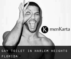 Gay Toilet in Harlem Heights (Florida)
