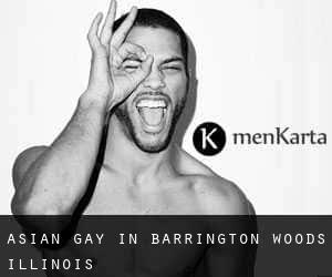 Asian Gay in Barrington Woods (Illinois)