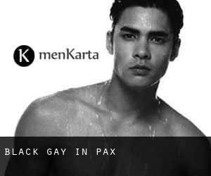 Black Gay in Pax