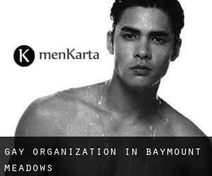 Gay Organization in Baymount Meadows