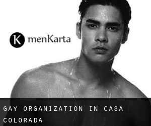 Gay Organization in Casa Colorada