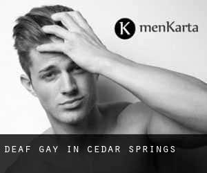 Deaf Gay in Cedar Springs