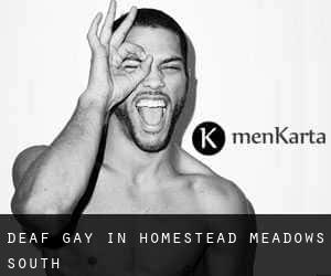 Deaf Gay in Homestead Meadows South