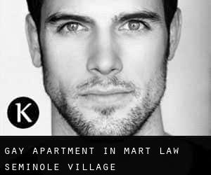 Gay Apartment in Mart Law Seminole Village
