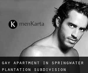 Gay Apartment in Springwater Plantation Subdivision