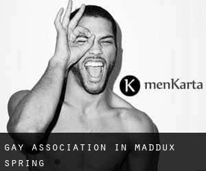 Gay Association in Maddux Spring