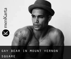 Gay Bear in Mount Vernon Square