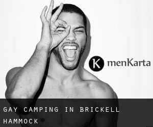 Gay Camping in Brickell Hammock