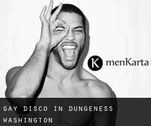 Gay Disco in Dungeness (Washington)