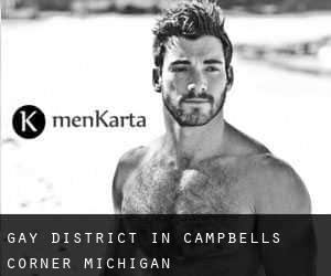 Gay District in Campbells Corner (Michigan)