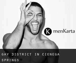Gay District in Cienega Springs