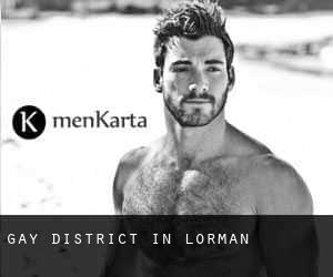 Gay District in Lorman