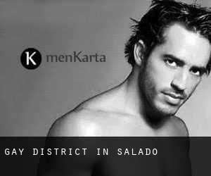 Gay District in Salado