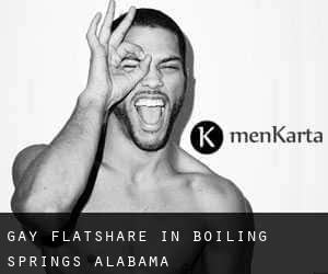 Gay Flatshare in Boiling Springs (Alabama)